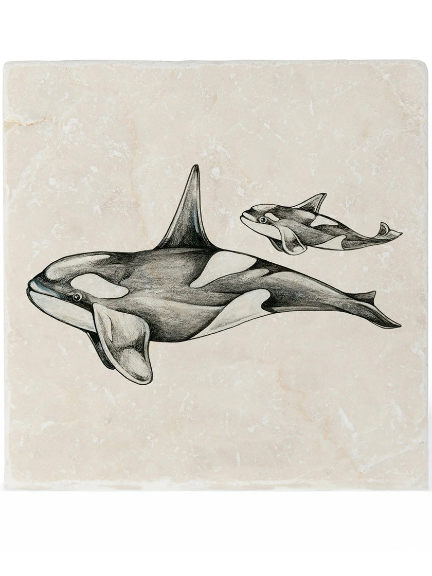 Sous-verres « Orcas »