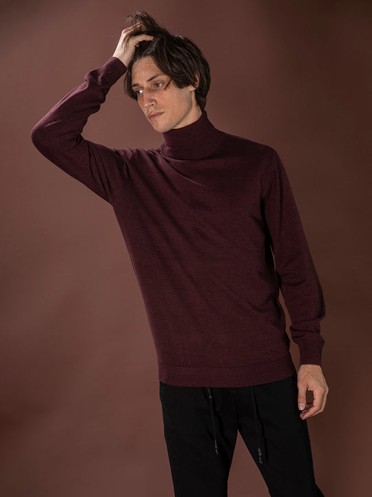 Rollkragenpullover von PETROL