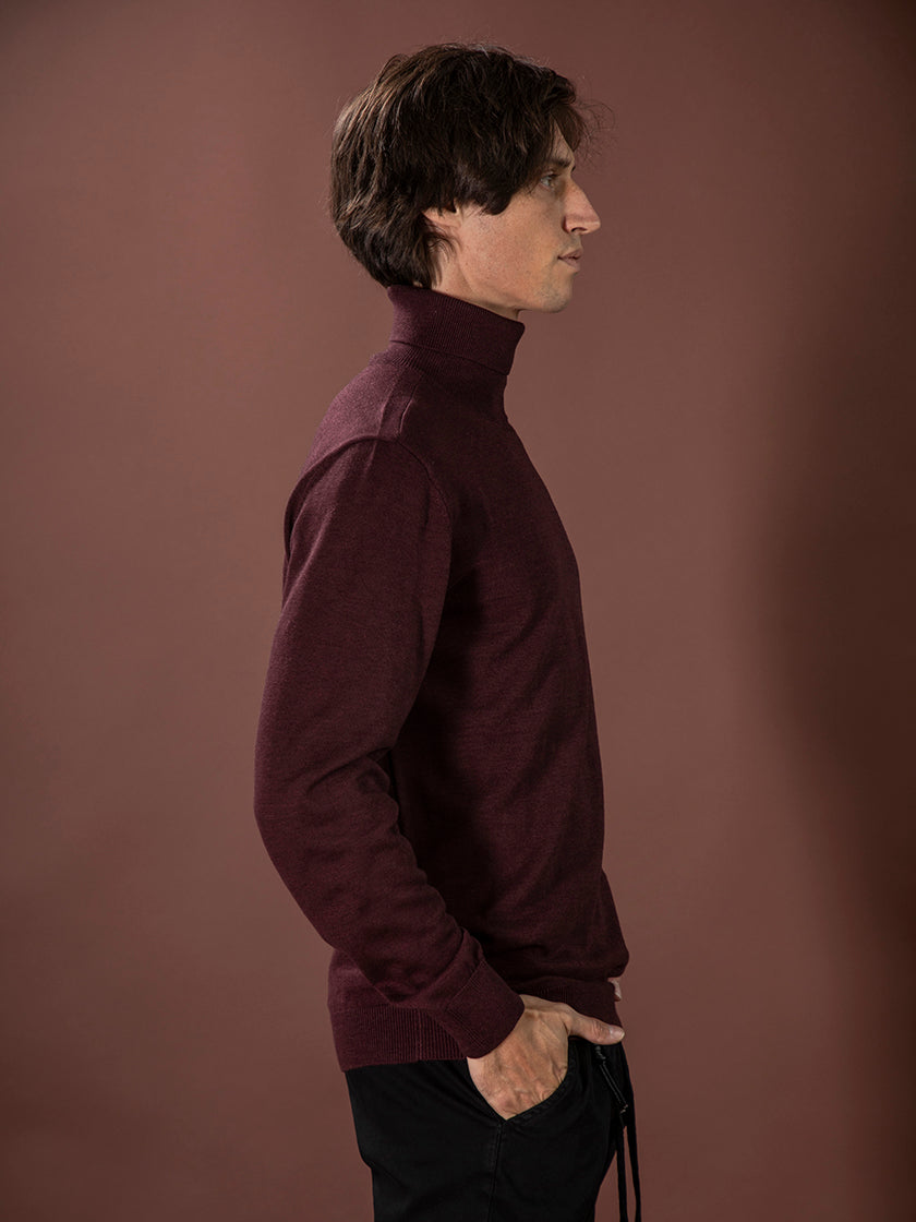 Rollkragenpullover von PETROL