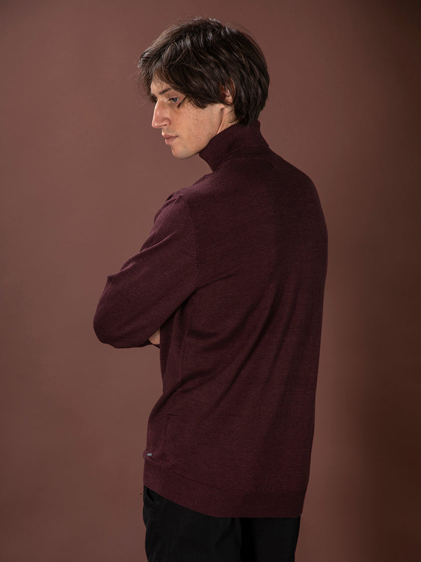 Rollkragenpullover von PETROL