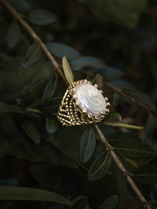 Fingerring «Leonoris Pearl» von CORAZON
