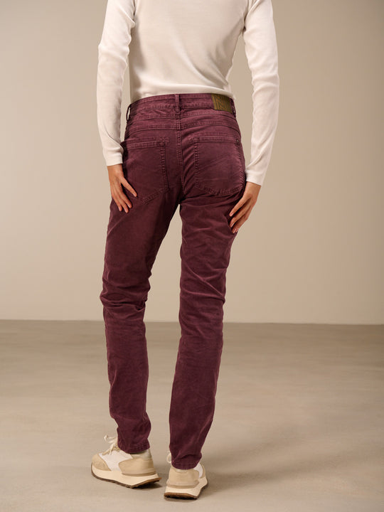 Hose «Tapered Long» von NILE